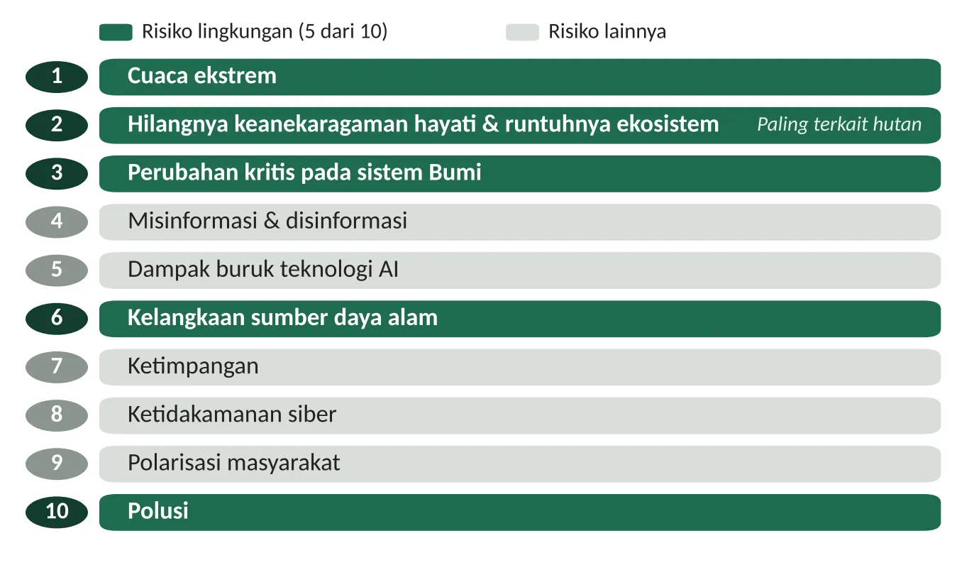 Jaga Hutan, Jaga Napas Indonesia: Mengapa Menjaga Hutan Penting bagi Lingkungan Hidup, Ekonomi Hijau, dan Masa Depan Bangsa