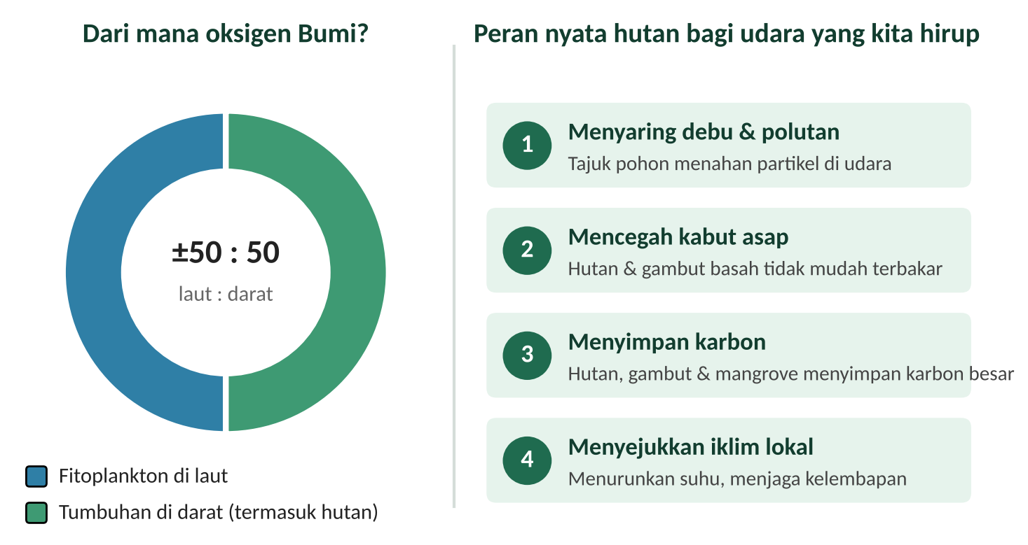 Jaga Hutan, Jaga Napas Indonesia: Mengapa Menjaga Hutan Penting bagi Lingkungan Hidup, Ekonomi Hijau, dan Masa Depan Bangsa