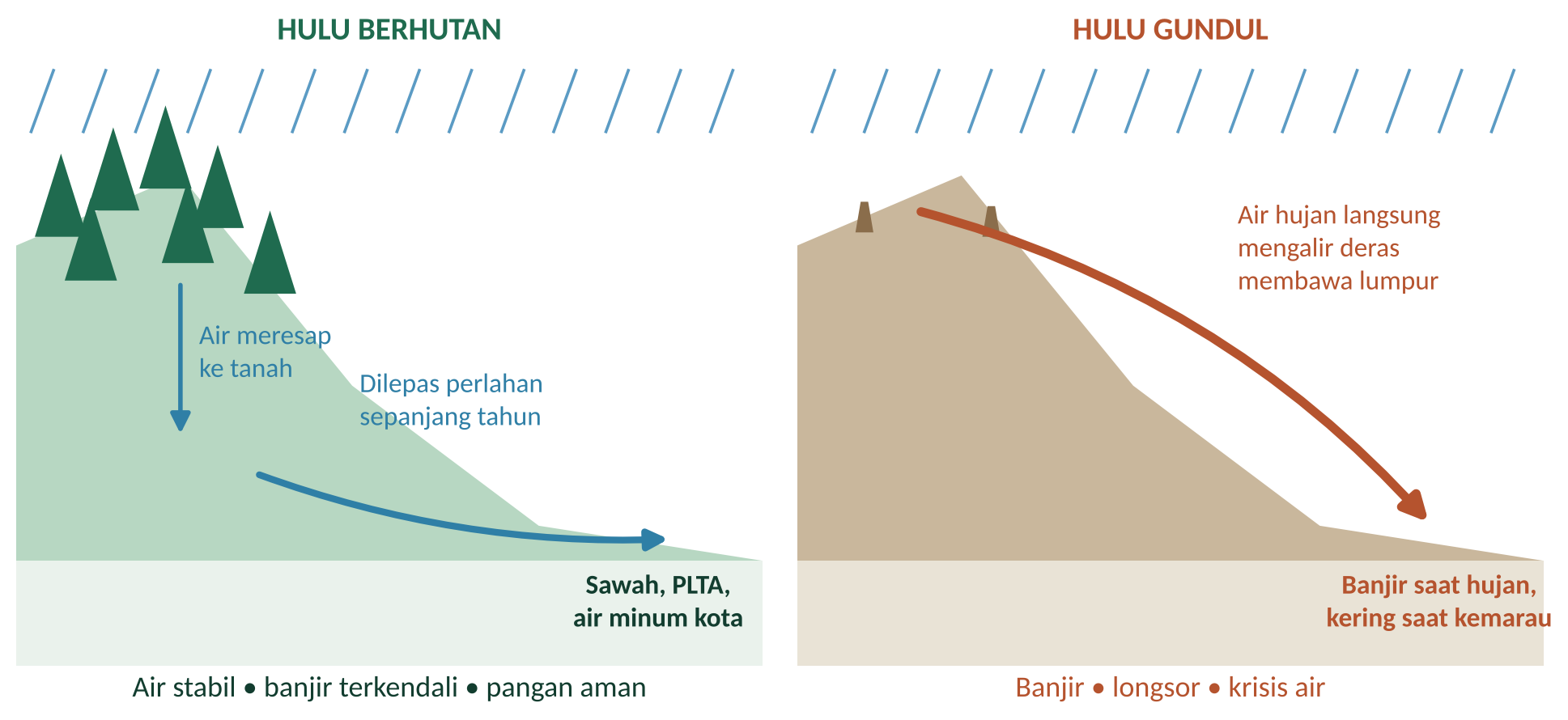 Jaga Hutan, Jaga Napas Indonesia: Mengapa Menjaga Hutan Penting bagi Lingkungan Hidup, Ekonomi Hijau, dan Masa Depan Bangsa